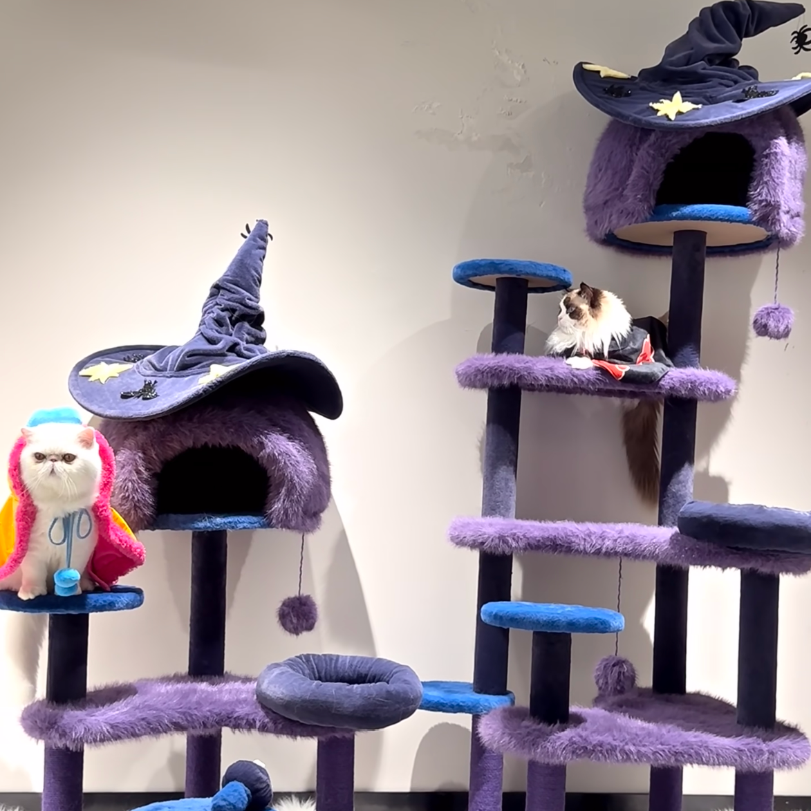Wizard Cat Tree