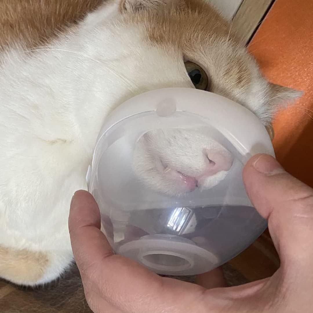 Pet Low Noise Nebulizer for Cats and Dogs