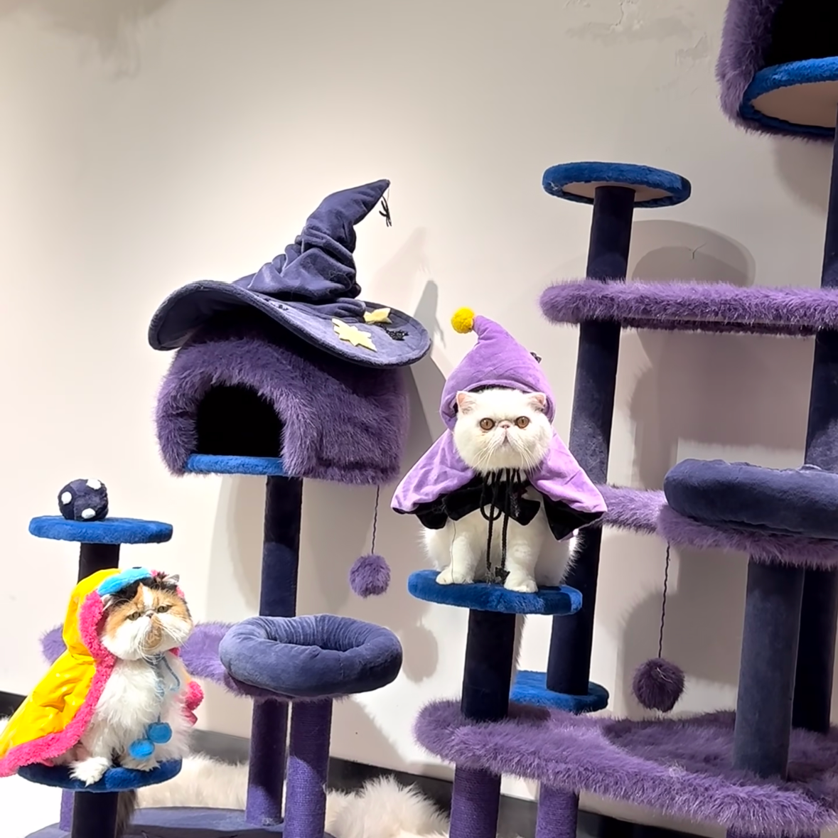 Wizard Cat Tree
