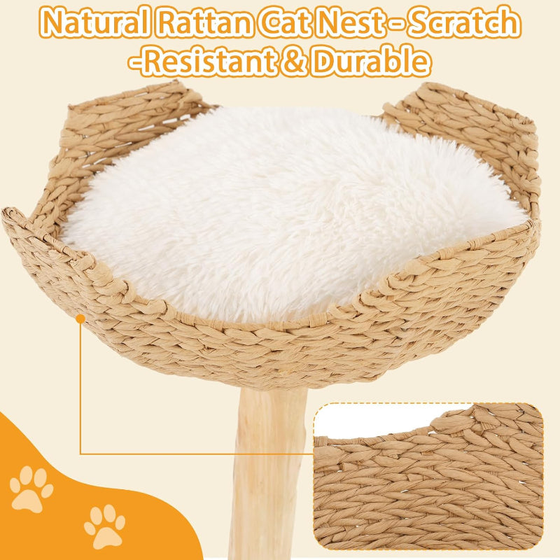 Copaner Modern Wooden Cat Tree Tower