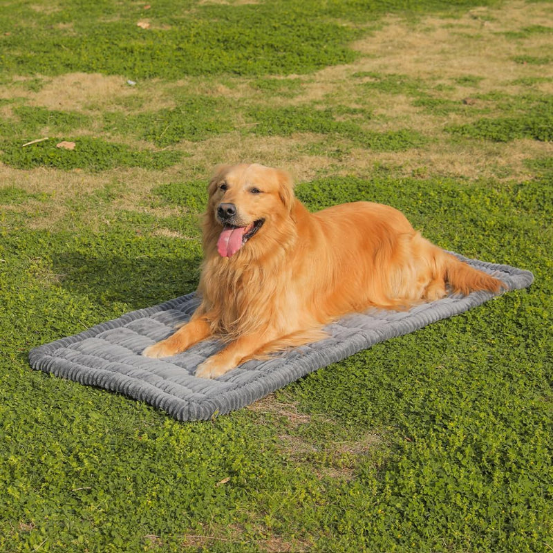 Dog Car Seat Cover for Back Seat Fit for Backseat Extenders