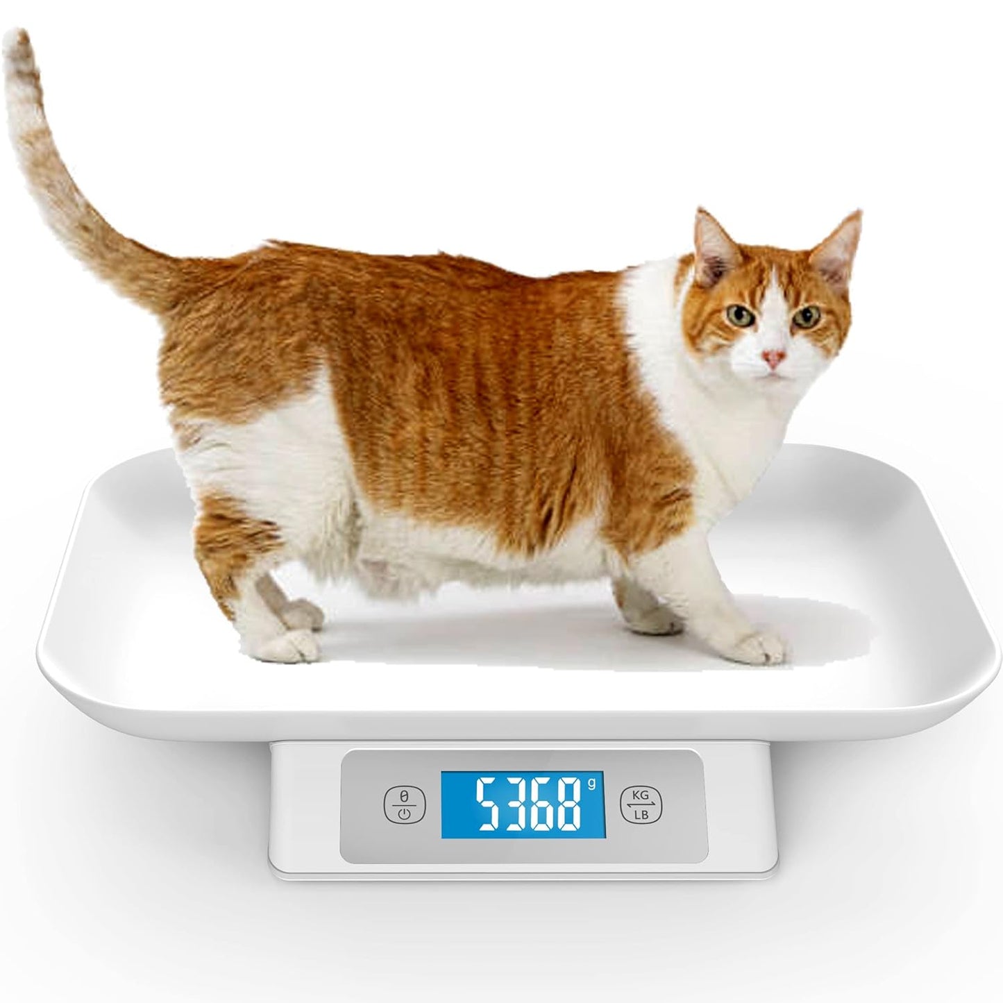 Digital Pet Scale for Puppy and Cats,  Weigh Capacity 33 lbs (±0.03oz)
