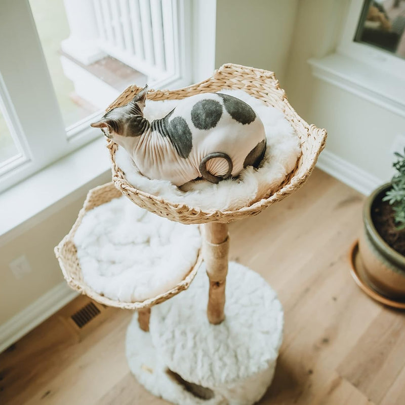 Boho Cat Tree