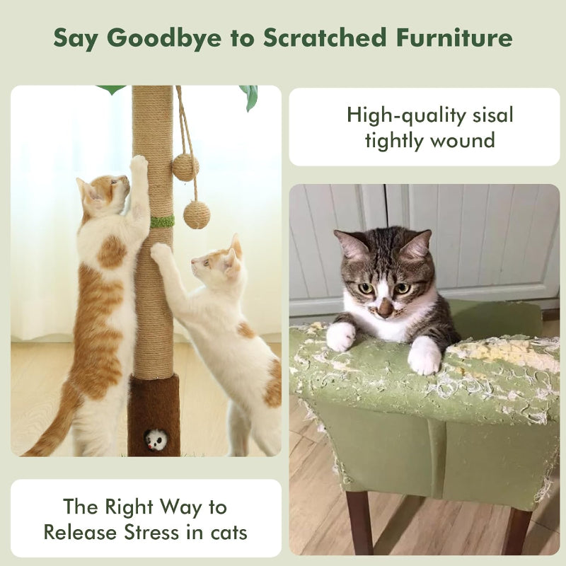 copaner Cat Scratcher Tree 35'' Tall for Indoor Cats with Cat Toy Mouse Hole