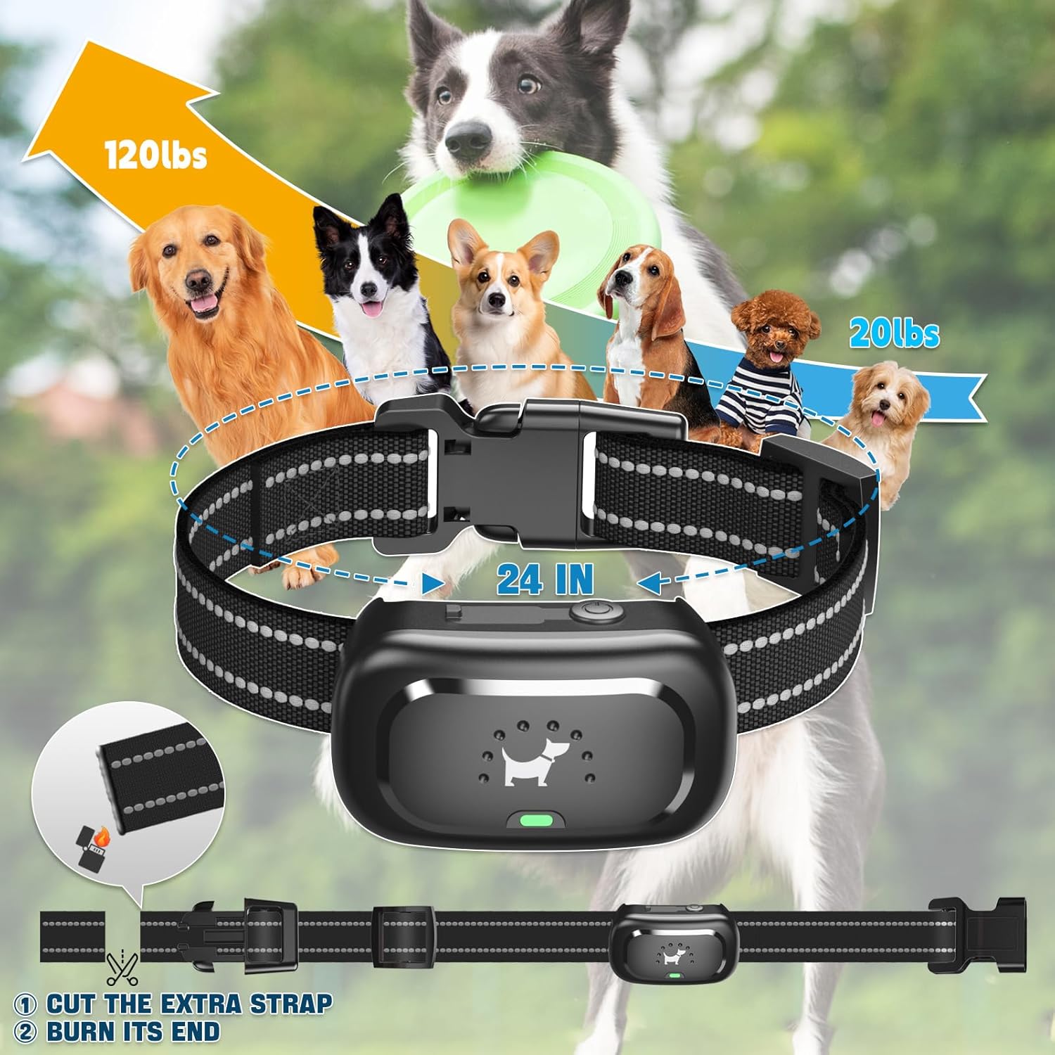 Copaner Dog Shock Collar with Remote  for Dogs Training