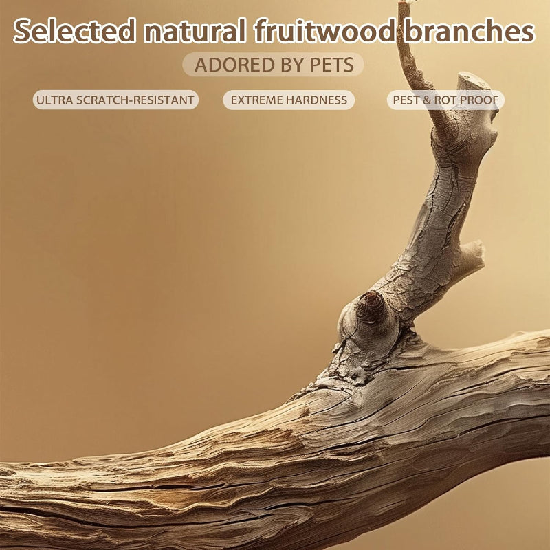 Copaner Modern Wooden Cat Tree Tower