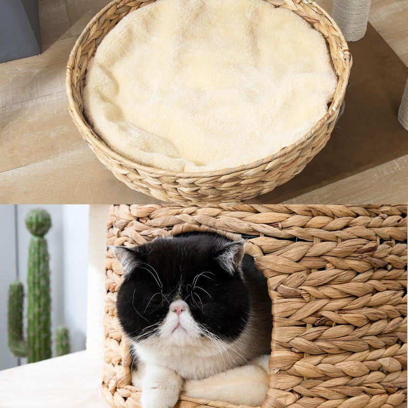 Copaner Cat Tree Tower with Sisal Staircase