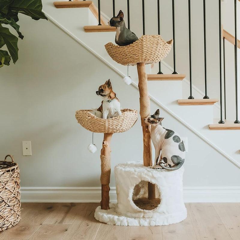 Boho Cat Tree
