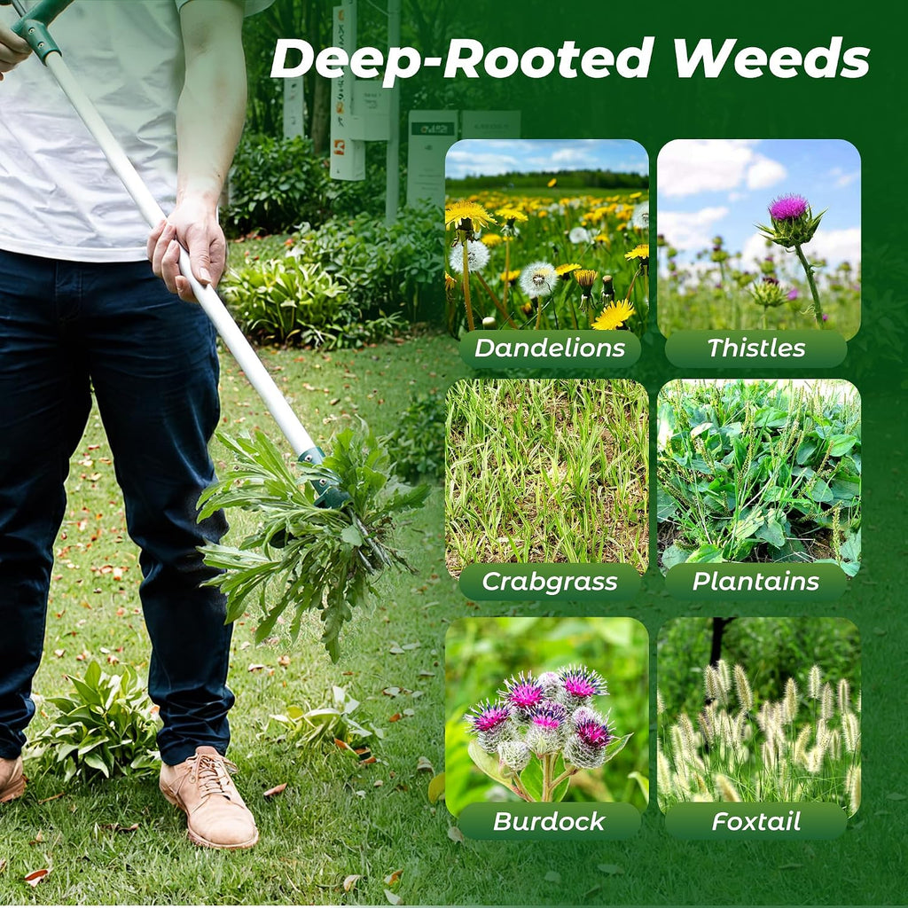 Stand Up Weeder Hand Tool