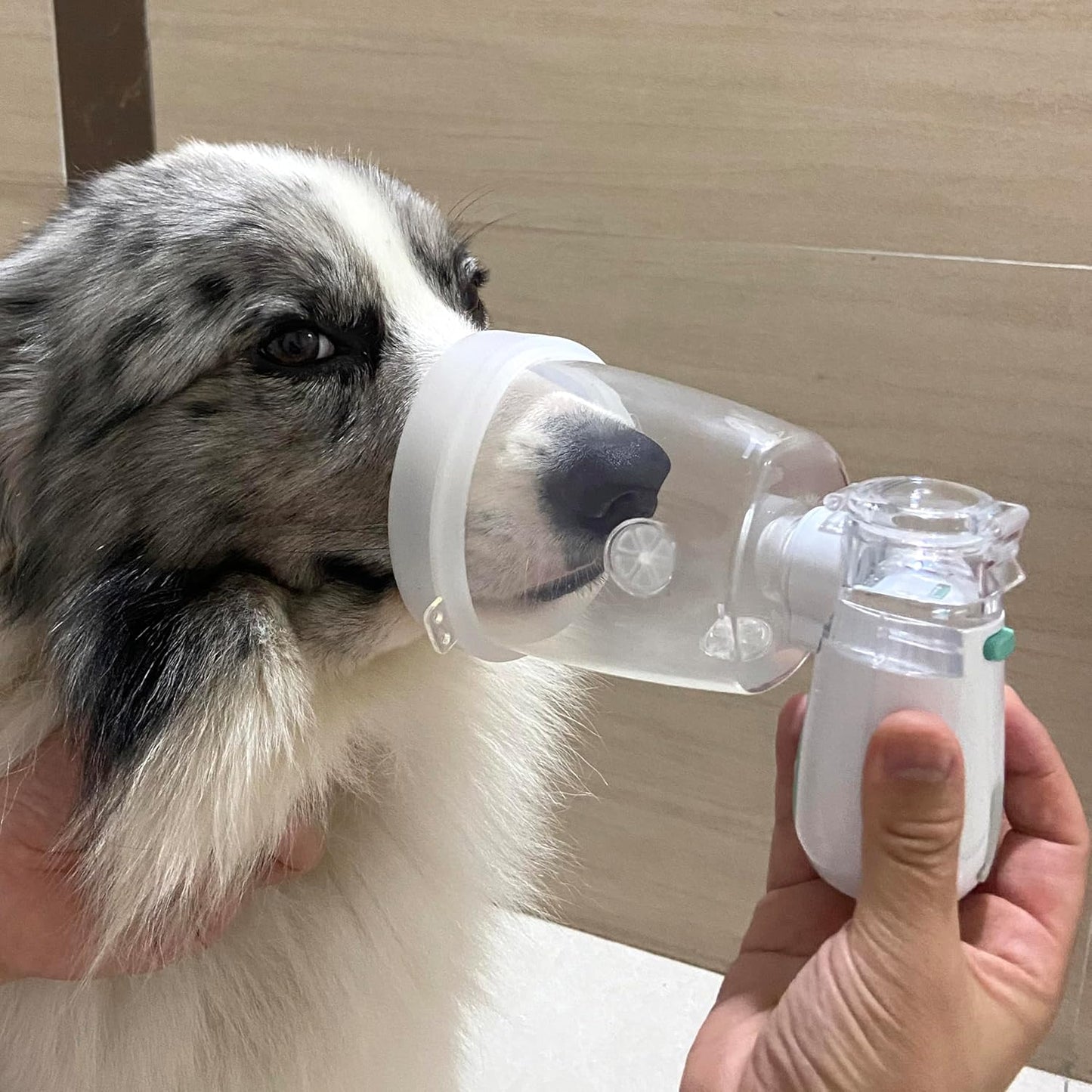 Pet Low Noise Nebulizer for Cats and Dogs