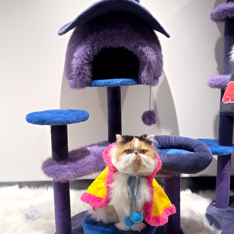Wizard Cat Tree